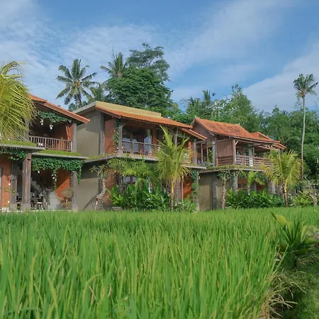 Dukuh Ubud Villa #3 Ricefield View
