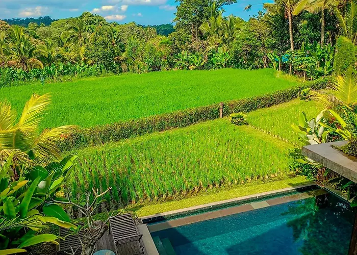 Dukuh Ubud #3 Ricefield View Villa *