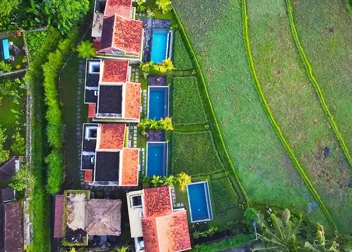 Dukuh Ubud #3 Ricefield View Villa