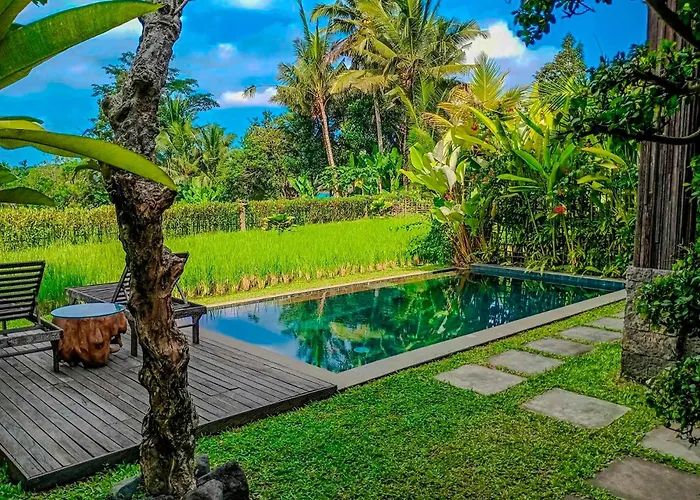 Dukuh Ubud #3 Ricefield View