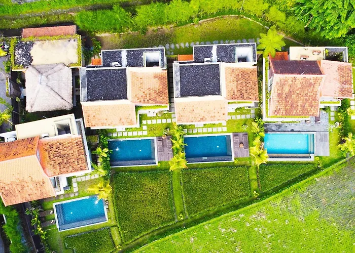 Villa Dukuh Ubud #3 Ricefield View