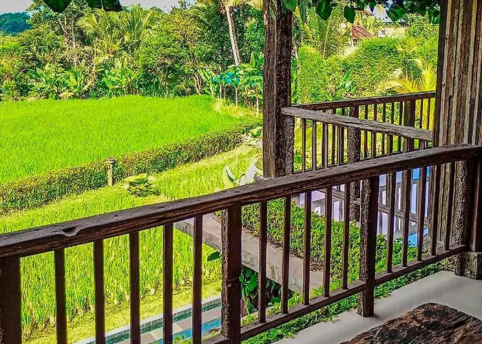 Dukuh Ubud #3 Ricefield View *