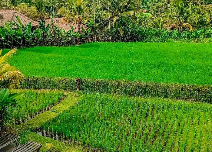 Dukuh Ubud #3 Ricefield View * Payangan