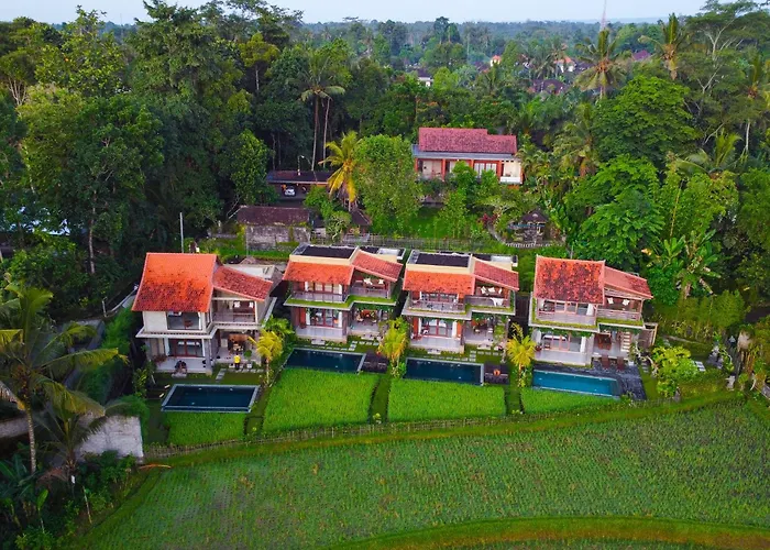 Dukuh Ubud #3 Ricefield View *